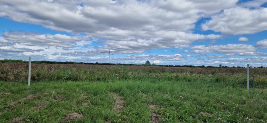 Eladó építési telek Tiszanánán, 813 m² – 2