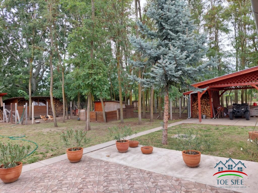 Eladó 121 m²-es birtok Tiszajenőn, 2084 m²-es telken – 16